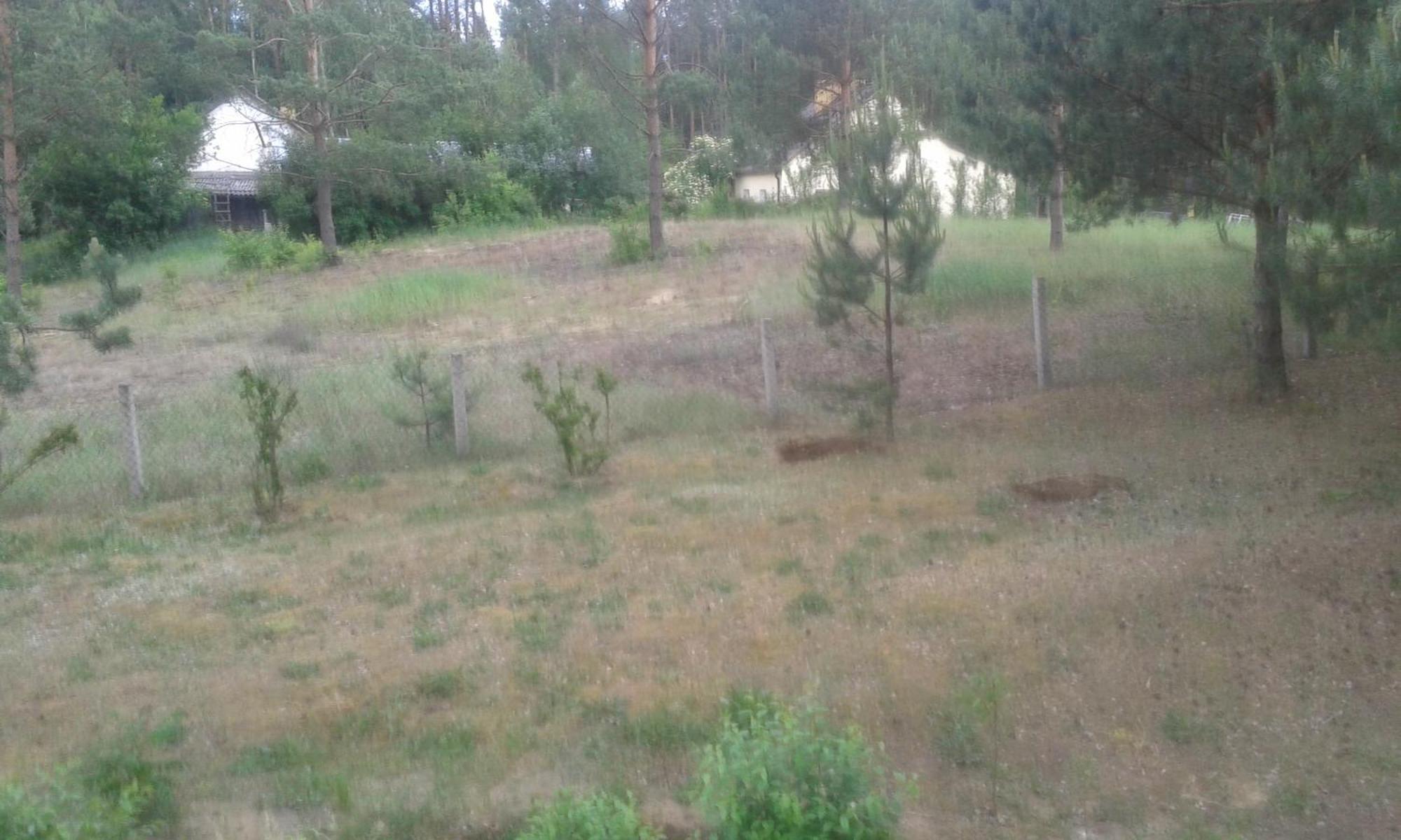 Domek Lesna Przystan Strekowizna Exteriér fotografie