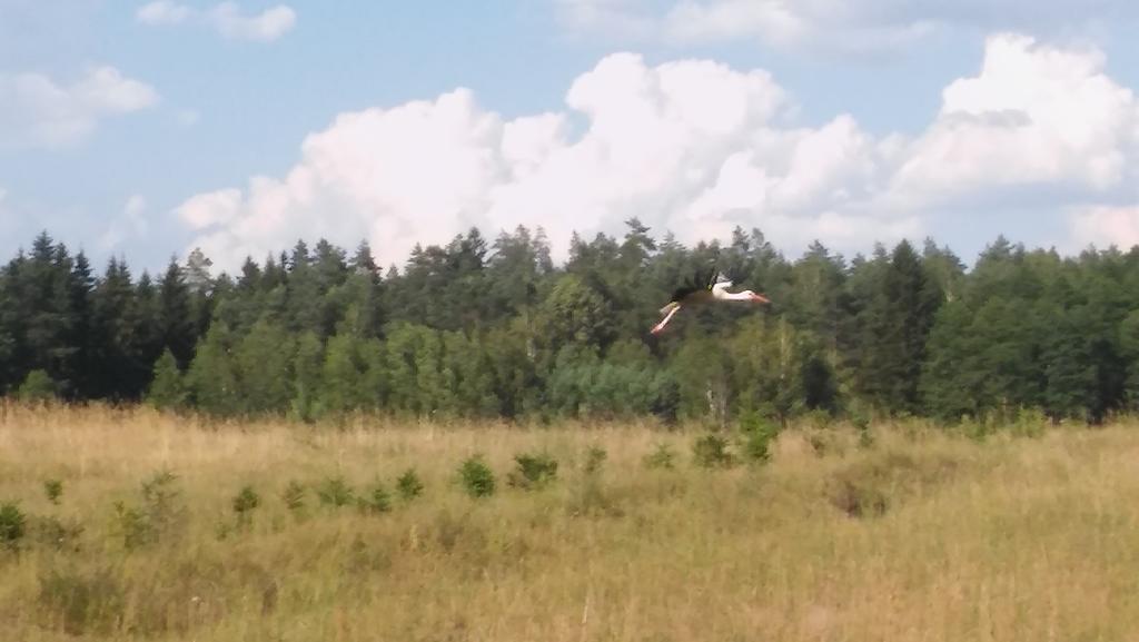 Domek Lesna Przystan Strekowizna Exteriér fotografie